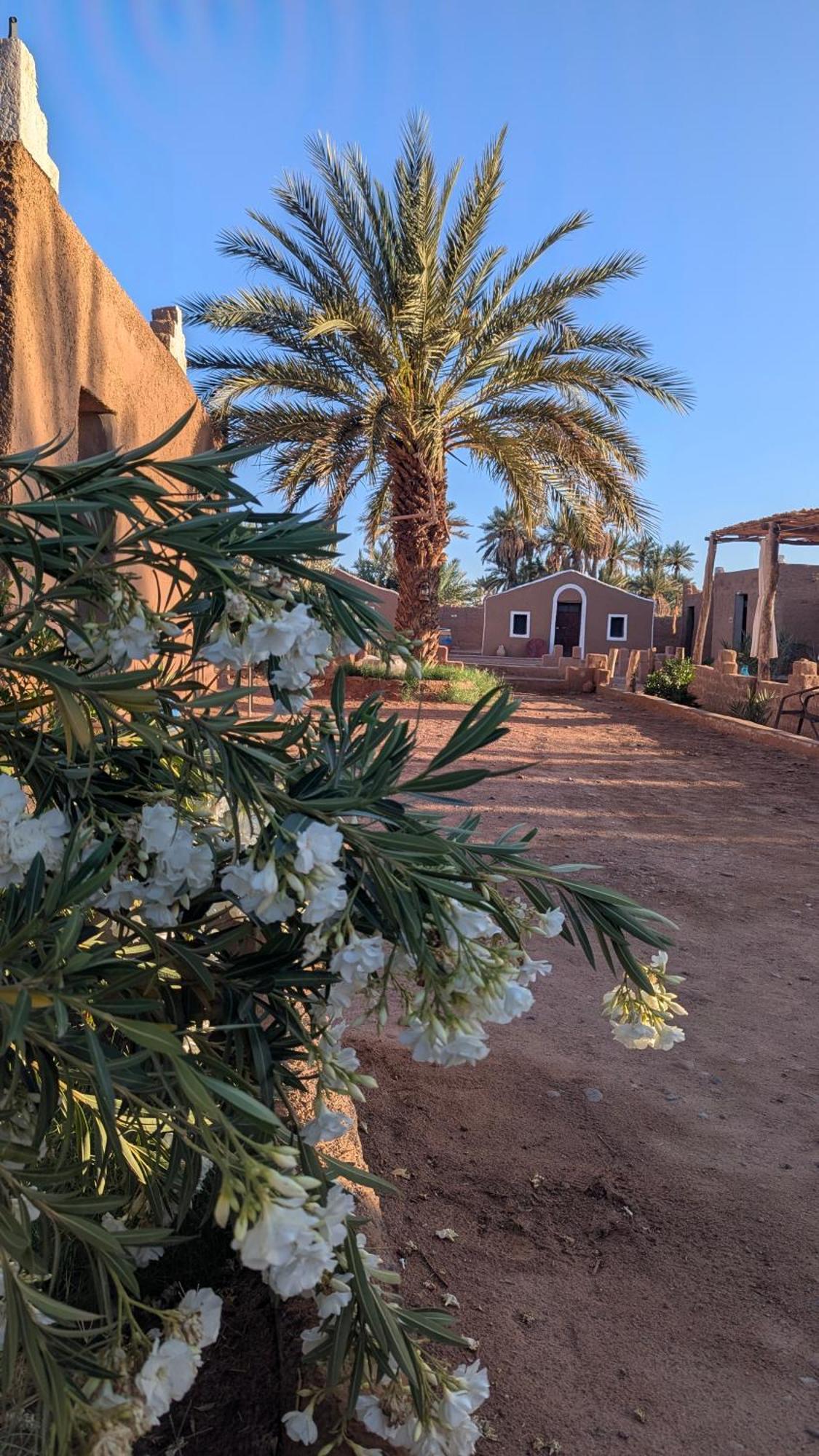 Kasbah Desert Camp Мхамид Екстериор снимка